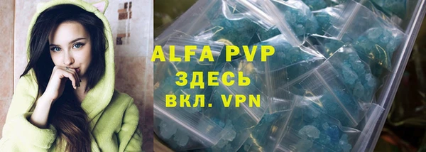трава Корсаков