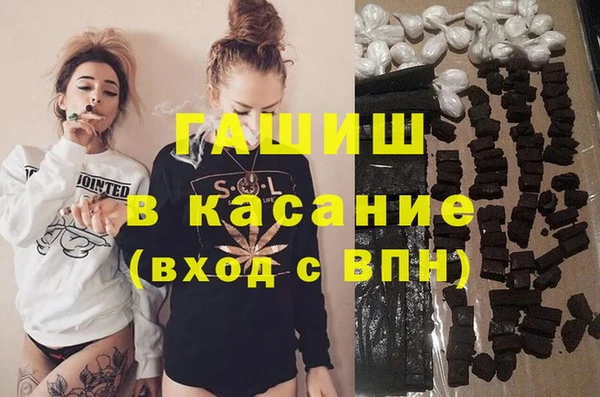 трава Корсаков