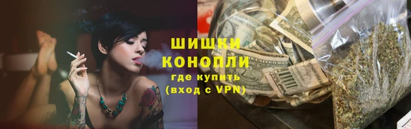 трава Корсаков
