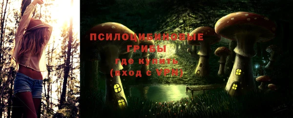 ГАЛЛЮЦИНОГЕННЫЕ ГРИБЫ Костерёво