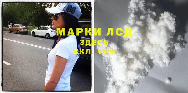 трава Корсаков