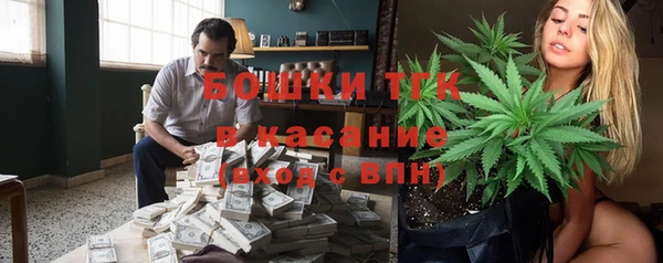 ГАЛЛЮЦИНОГЕННЫЕ ГРИБЫ Костерёво