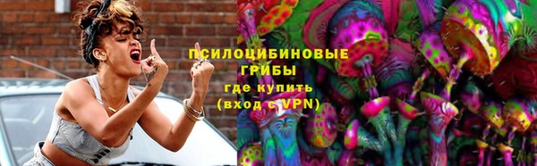 трава Корсаков
