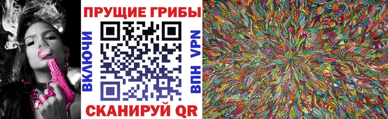 купить  цена  Ухта  KRAKEN зеркало  Псилоцибиновые грибы мицелий 