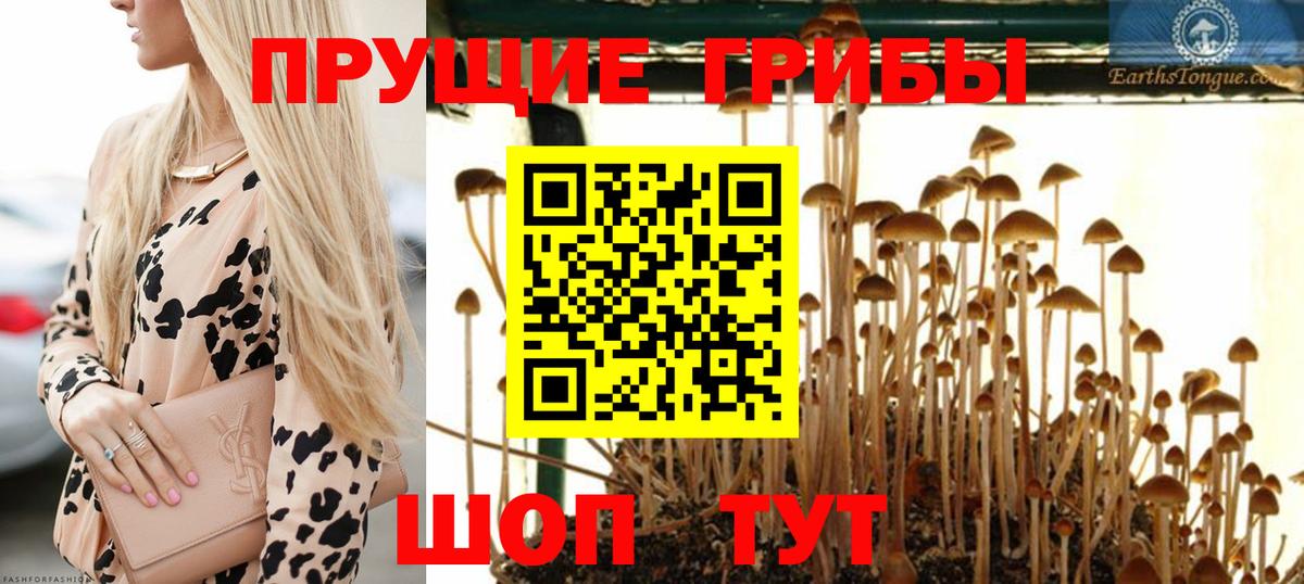 Псилоцибиновые грибы прущие грибы  Вход с VPN  Ухта  Псилоцибиновые грибы Psilocybine cubensis 