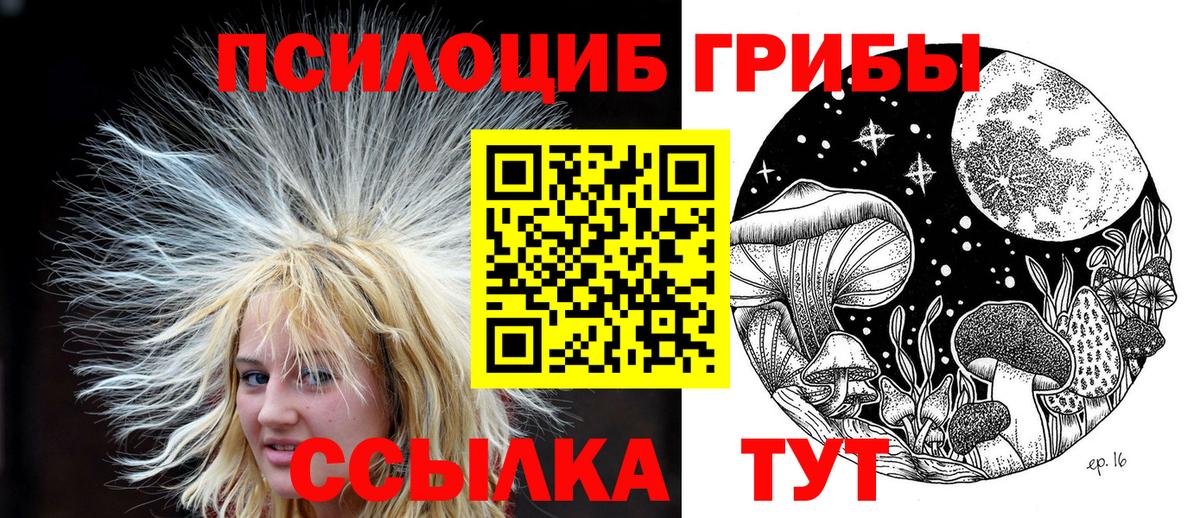 Псилоцибиновые грибы GOLDEN TEACHER Ухта